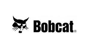 Bobcat
